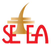Logo FSEGA - Université de Douala